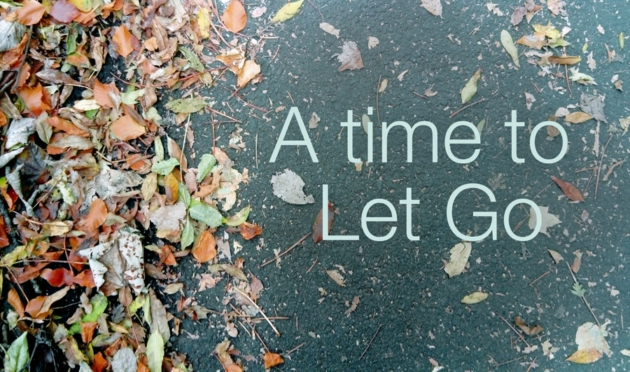 A time to let go yoga image of leaves.