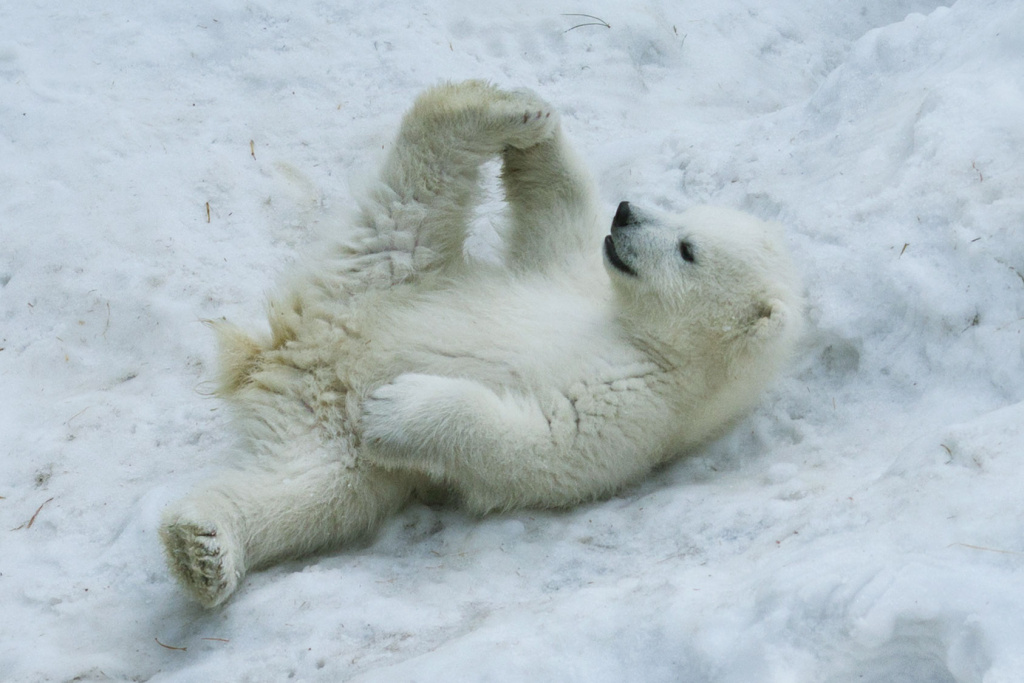 Winter yoga workshop image